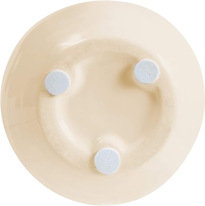 Dandelion Wishes 77150 Ceramic Candles Teachers Inspire Growing Minds Ceramic Soy Candle