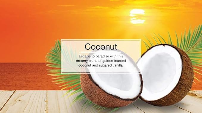 Little Trees Hanging Car and Home Air Freshener, Coconut Scent, 10 Pack