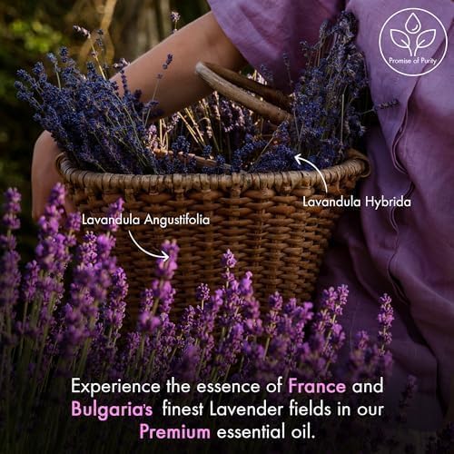 Majestic Pure Essential Oil with Glass Dropper - Essential Oils for Diffuser, Aromatherapy, Soap and Candle Making, Lavender Essential Oil, Lavender Oil, 4 Fl Oz