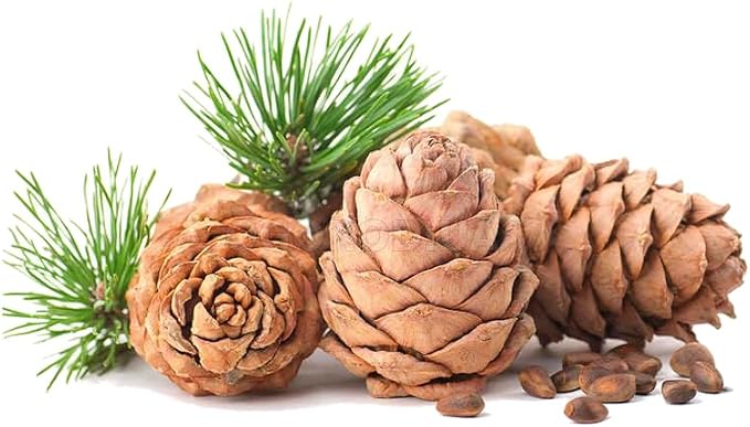 ArOmis Organic Cedarwood Essential Oil - 100% Pure Therapeutic Grade - Undiluted, Premium Oil - 150 Micron Filtered, Perfect for Aromatherapy Diffusers (10ml / .34 fl oz)