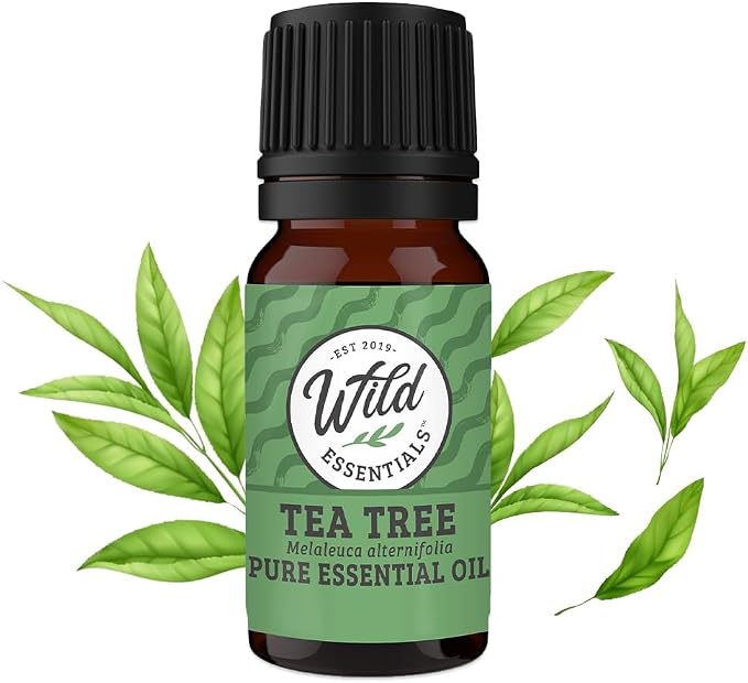 Wild Essentials Tea Tree 100% Pure Essential Oil - 10ml Bottles, undiluted, Therapeutic Grade, Made and Bottled in The USA, Congestion, Health, Astringent