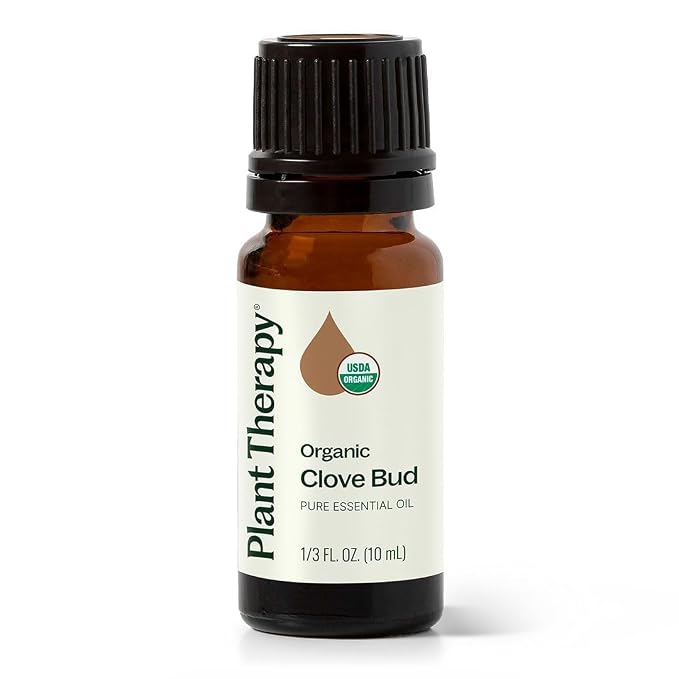 Plant Therapy Organic Clove Bud Essential Oil, 10 mL (1/3 oz), 100% Pure and Undiluted, USDA Certified Organic, Fresh and Spicy Scent, Great for Aromatherapy