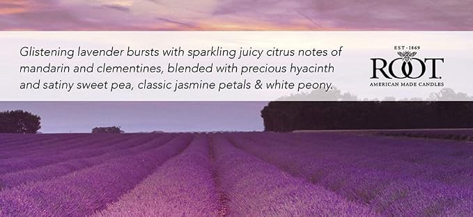 Root Candles Scented Candles Honeycomb Glass Premium Handcrafted Beeswax Blend 3-Wick Candle, 12-Ounce, Lavender Vanilla