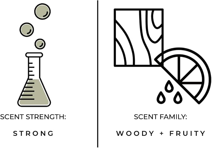 Luxury Reed Diffuser| True Hue | 3.75 fl oz | Glass and Rattan | Lasts for 2-3 Months | Fragrance Diffusers for Home | Handmade in USA (Stargazing)