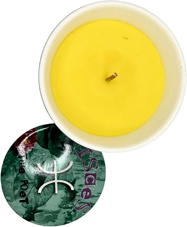 Pisces Zodiac Candle – Jasmine Scented Soy Candle for Self Care & Relaxation – Zodiac Birthday Gift – 80 Hour Burn – Reusable Ceramic Jar