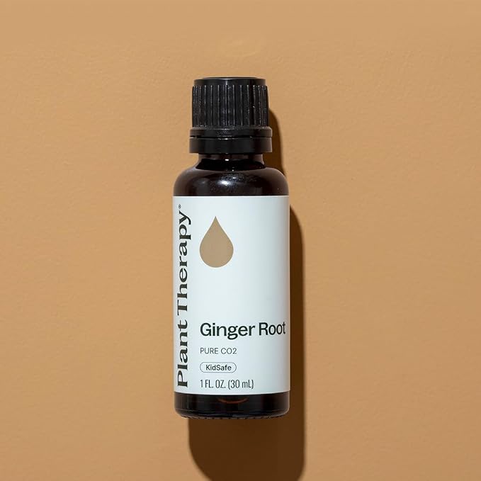 Plant Therapy Ginger Root CO2 Essential Oil 30 mL (1 oz), 100% Pure, Undiluted, Digestion Support and Aromatherapy
