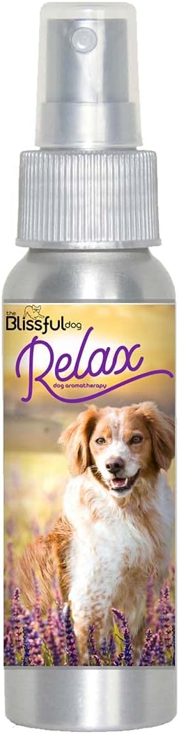 The Blissful Dog Brittany Spaniel Relax Dog Aromatherapy Spray for Your Dog's Anxiety