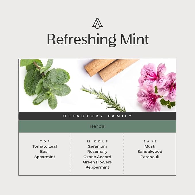 AromaPlan Reed Diffuser, Refreshing Minty Scent Diffuser (8.45 fl oz, 250ml)- Luxury Reed Diffusers Set for Home- Includes Reed Diffuser Sticks & Fragrance Oil in Glass Bottle