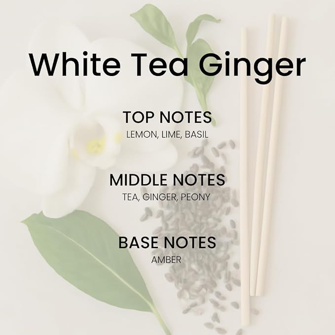 White Tea Amber Reed Diffuser Set–Luxury Natural Fragrance Reed Diffusers for Hotel, Office, Bathroom, Kitchen, Home & Shelf Decor Long Lasting Scent with Non-Toxic Oils Gift Ready 5.63 oz 160ml