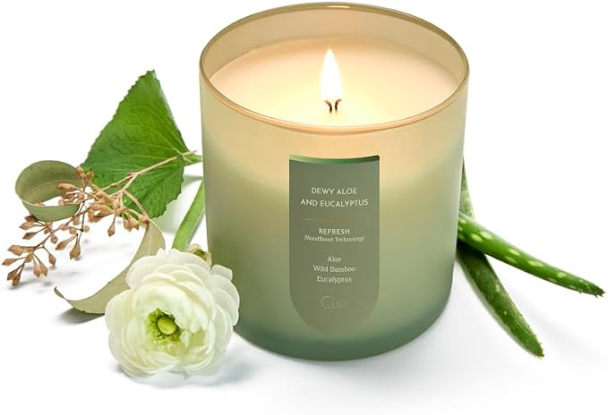 CUE Scented Candle |MoodBoost Essential Oils |OpenWick Clean Burning Candle | Soy Coconut Wax Blend | Candle for Home | Gift |Extended Burn Time (8.5oz, Dewy Aloe and Eucalyptus)
