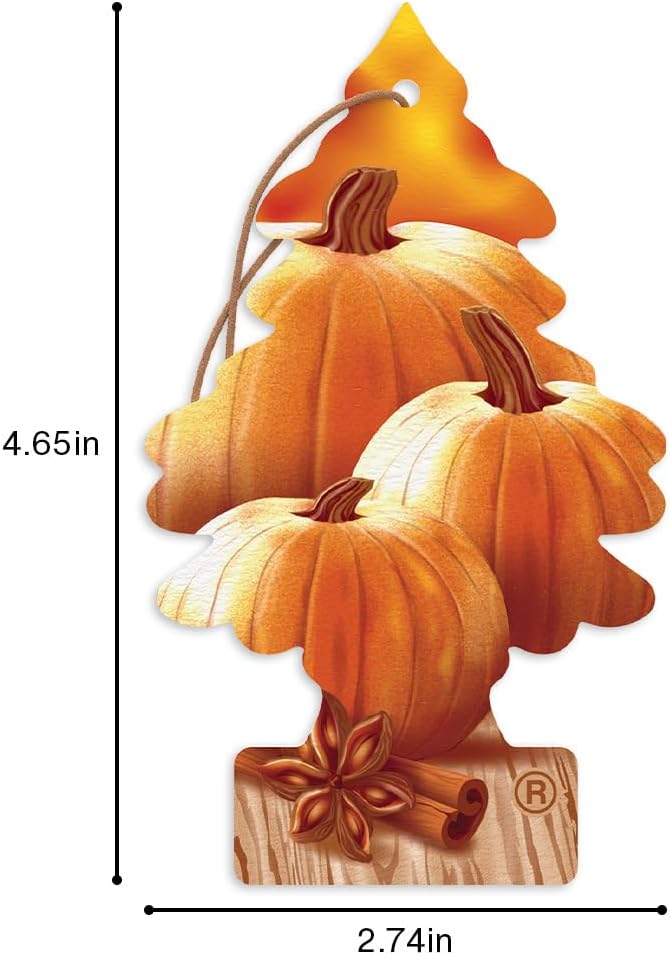 LITTLE TREES Car Air Freshener | Hanging Tree Provides Long Lasting Scent for Auto and Home | Warm Pumpkin Spice, 24 Air Fresheners