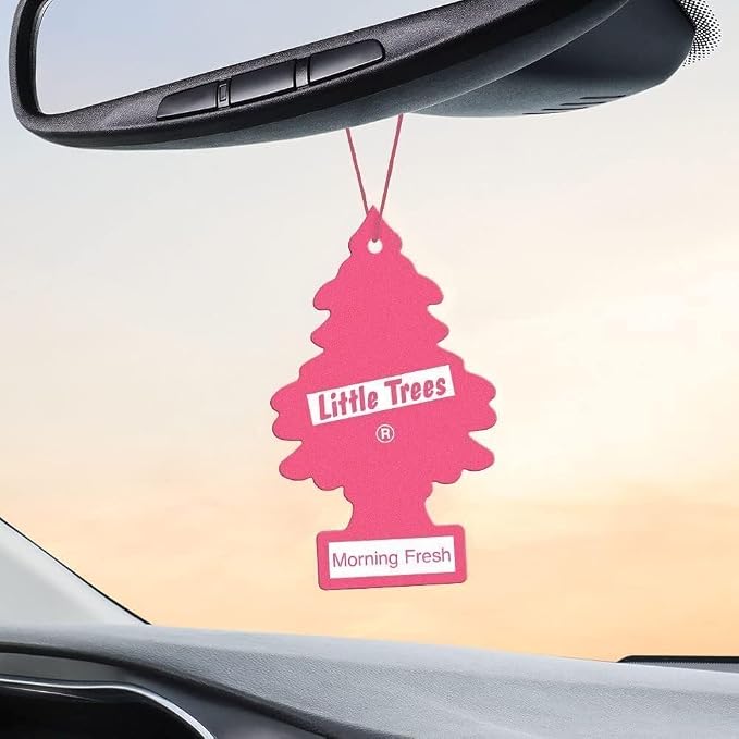 LITTLE TREES Car Air Freshener | Hanging Paper Tree for Home or Car | Morning Fresh | Pack of 3