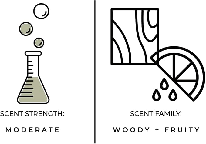 Luxury Reed Diffuser| True Hue | 3.75 fl oz | Glass and Rattan | Lasts for 2-3 Months | Fragrance Diffusers for Home | Handmade in USA (Twilight)
