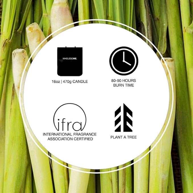 WHOLESOME. Lemongrass Scented Non-Toxic Candles for Home, 2 Wicks Natural Coconut Wax Candle Eco-Friendly, Luxury Aromatherapy Candles Stress Relief, 16 oz Large Concrete Jar, 90 Hours Burn