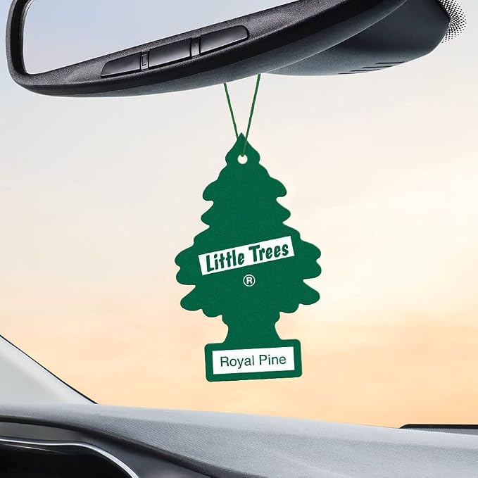 LITTLE TREES Car Air Freshener | Hanging Paper Tree for Home or Car | Royal Pine | 12 Pack