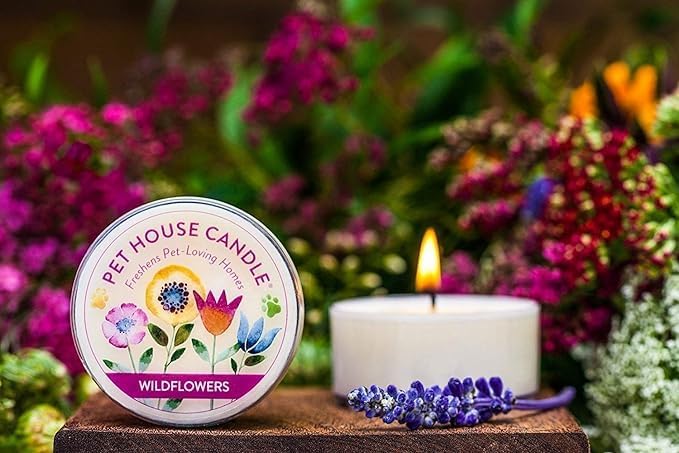 Pet House Mini Candles for Pet Odor Made with Natural Soy Wax, Plant Based, Dog and Cat Friendly Scented Candles, Vanilla Sandalwood Pack of 3