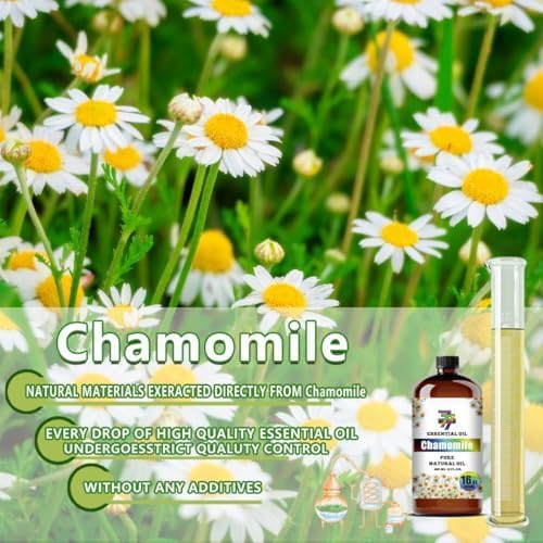Chamomile Essential Oil, Chamomile Oils, for Diffuser, Humidifier, Sleep, DIY Candles, Soap, Bath, Yoga, Gift, Essential Oil, GV77ZF Chamomile Fragrance Oil - 16 fl oz (480 ml)