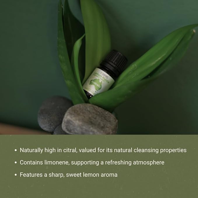 Lemon Myrtle Essential Oil - Experience an Invigorating, Fresh Citrus Aroma - Pure, Undiluted Therapeutic Grade Essential Oil - 5ml