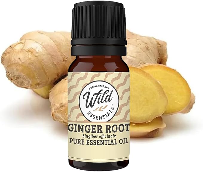 Wild Essentials Ginger 100% Pure Essential Oil - 10ml, Therapeutic Grade, Made and Bottled in The USA