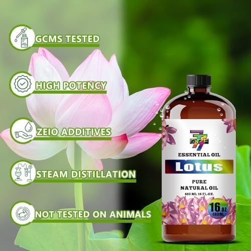 Lotus Essential Oil, Lotus Oils, for Diffuser, Meditation, Yoga, Massage, Humidifier, DIY Candles, Soap, Home, Office, Gift, Essential Oil, GV77ZF Lotus Fragrance Oil - 16 fl oz (480 ml)