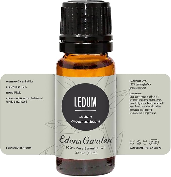 Edens Garden Ledum Essential Oil- 100% Pure Premium Grade, Undiluted, Natural, Therapeutic, Aromatherapy, The Best for Diffuser, Skin, Hair, Humidifiers 10 ml (.33 fl oz)