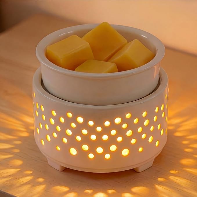 EQUSUPRO Wax Melt Warmer for Scented Wax Melts- Electric 4 in-1 Ceramic Candle Wax Warmer Burner Fragrance Wax Melter for Home Office Bedroom Living Room Decor & Gifts for Women