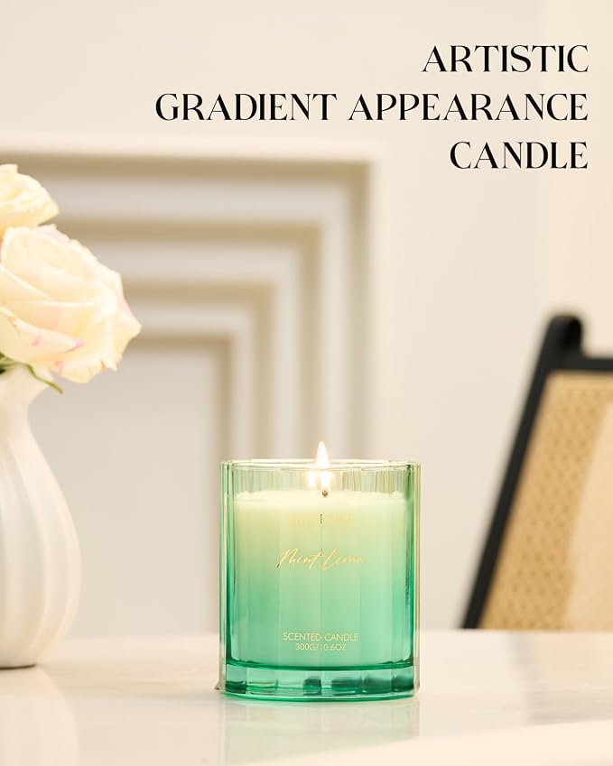 M&SENSE Citronella Mint Soy Candle, 10.6oz Indoor & Outdoor Fresh Scent | Natural Soy Wax, 60-Hour Long Lasting Burn Time, Non Toxic Relaxing Candle for Summer, Stress Relief for Family Friends
