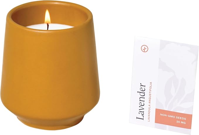 Modern Sprout - 2 in 1 Scented Candles with Seeds that Grows into Plants - 6 oz Soy Candle with 42 hr Burn time in Matte Glaze Ceramic Vessel - Rosemary, Thyme, & Lavender - Pack of 3