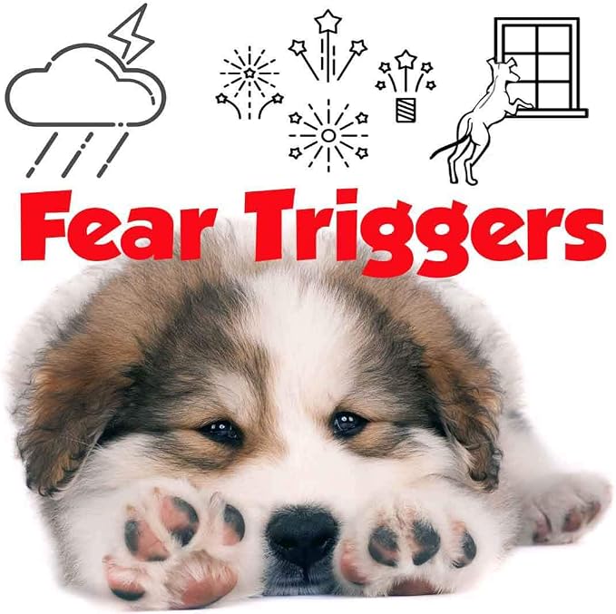 The Blissful Dog Great Pyrenees Relax Roll-ON Aromatherapy for Dogs - Anxiety Relief for Dogs