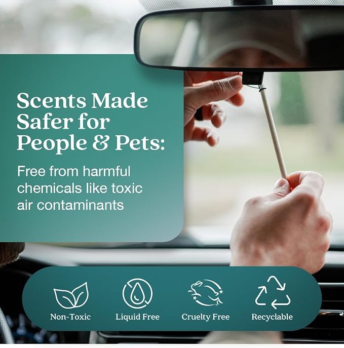 Enviroscent Non-Toxic* Car Air Freshener Auto Stix® - Scents Made Safer - Enjoy Fragrance Lasts Up to 480 Days - Includes Auto Stix® Diffusers & Elastic Loops - Seaside Coconut & Verbena (Pack of 8)