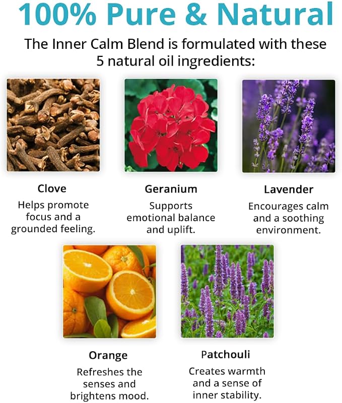 Wild Essentials Exquisite Signature Essential Oil Blend Inner Calm, Two 10 ML Bottles - Pure Essential Oils Synergy Blend, New Label, Same Formula