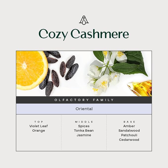 AromaPlan Luxury Reed Diffuser, Cozy Cashmere Scent Diffuser (8.5 fl oz, 250ml)- Natural Reed Diffusers Set, Includes Reed Diffuser Sticks & Fragrance Oil in a Glass Bottle- Home, Bathroom, Hotel