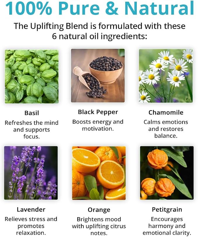 Wild Essentials Uplifting 100% Pure Essential Oil Synergy Blend 2 Pack, 10ml, Use for Mood Boost, Motivation, Happiness, Optimism, Made and Bottled in The USA