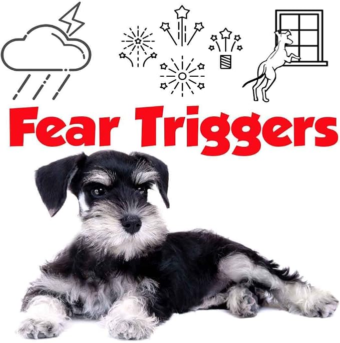 The Blissful Dog Schnauzer Relax Dog Aromatherapy Spray for Your Dog's Anxiety