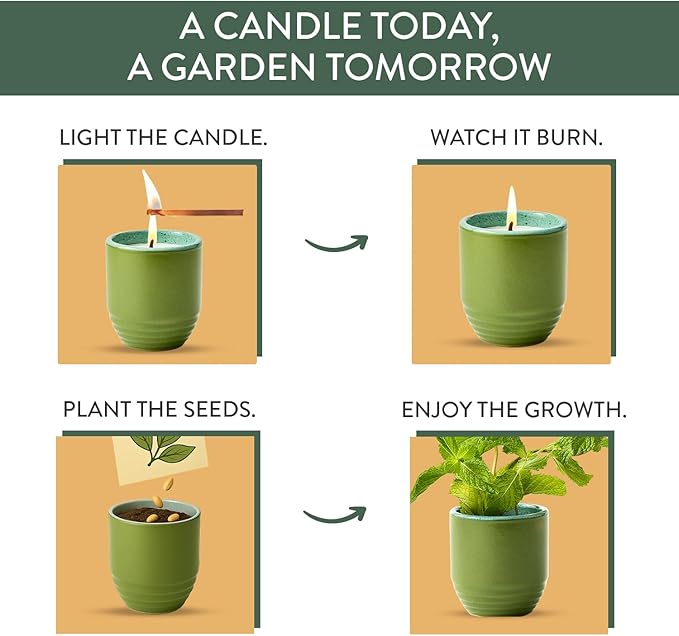 Modern Sprout - 2-in-1 Soy Candle & Planter - in The Weeds (Eucalyptus, Pink Pepper, Patchouli, Citrus) 6 Oz Scented Candle w/Mint Seeds - Ceramic Vessel Dual Purpose Jar - 38-40 Hour Burn