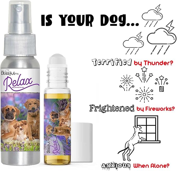 The Blissful Dog Three Cute Puppies Relax Roll-ON Aromatherapy for Dogs - Anxiety Relief for Dogs, 0.45-Ounce Roll-On