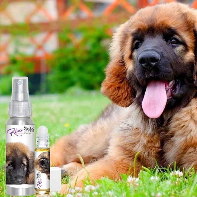 The Blissful Dog Leonberger Relax Dog Aromatherapy Spray for Your Dog's Anxiety