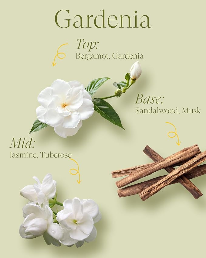 M&SENSE 2 Wicks Gardenia Scented Candle 12oz | Soy Wax, Natural, Floral Scent, Spring