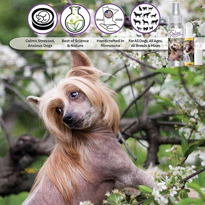 The Blissful Dog Chinese Crested Relax Dog Aromatherapy Spray for Your Dog's Anxiety