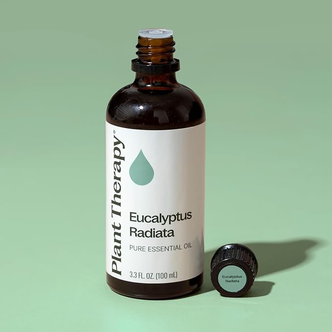 Plant Therapy Eucalyptus Radiata Essential Oil 100 mL (3.3 oz), 100% Pure, Undiluted, for Aromatherapy, Respiratory Support & Focus