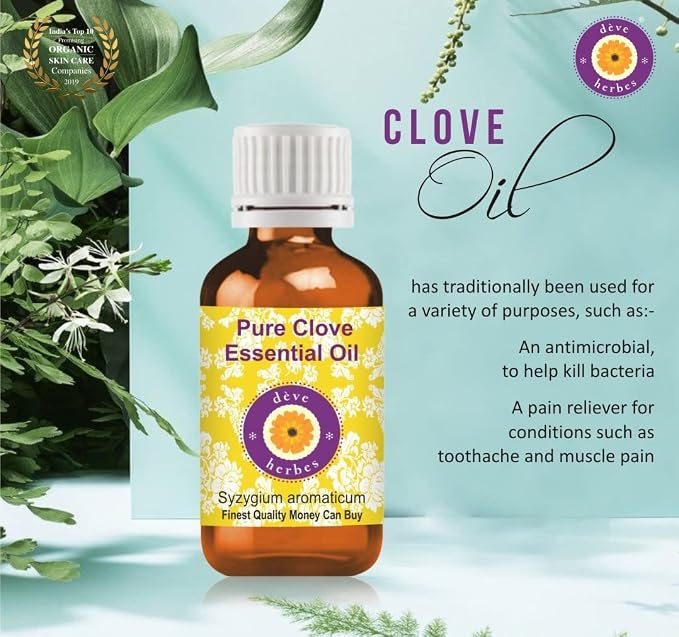 Deve Herbes Pure Clove Essential Oil (Syzygium aromaticum) Steam Distilled (Pack of Two) 100ml X 2 (6.76 oz)