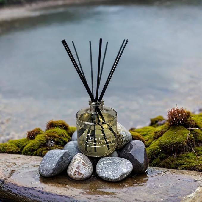 Bellevue Reed Diffuser, 6 fl oz Glass Filled Diffuser, Highly Concentrated Fragrances with Essential Oils, Home Fragrance, Scent:Driftwood Sand (Pack of 2)