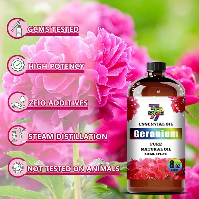 Geranium Essential Oil, Geranium Oils, for Diffuser, Humidifier, DIY Candles, Soap, Skin, Gift, Essential Oil, GV77ZF Geranium Fragrance Oil - 8 fl oz (240 ml)