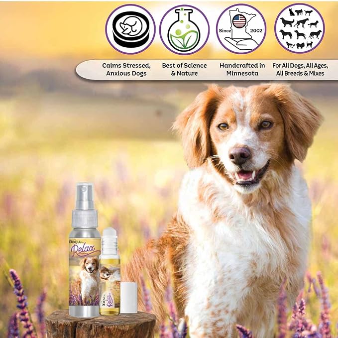 The Blissful Dog Brittany Dog Relax Roll-ON Aromatherapy for Dogs - Anxiety Relief for Dogs
