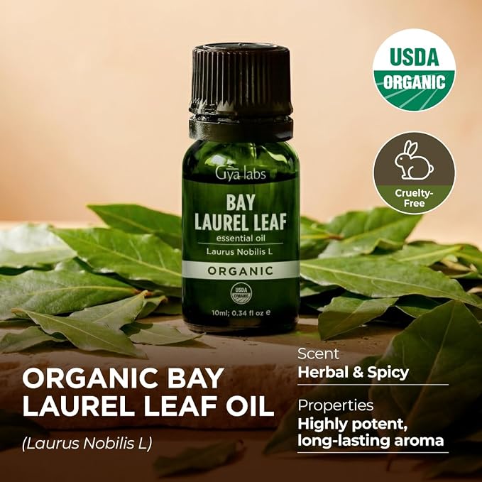Gya Labs USDA Certified Organic Bay Leaf Essential Oil for Massages, Skin, Hair, Diffuser, Aromatherapy, DIY Candle Making Scents - 0.34 Fl Oz