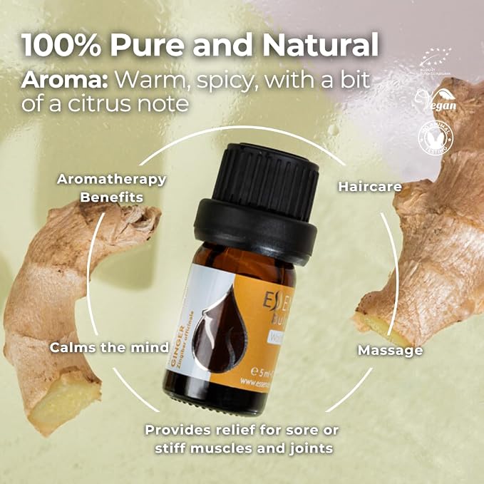 Essences Bulgaria Organic Ginger Essential Oil 0.17 Fl Oz 5ml Zingiber officinale - 100% Pure Natural Undiluted Therapeutic Grade Aromatherapy Oil for Diffuser Humidifier Lymphatic Drainage Massage
