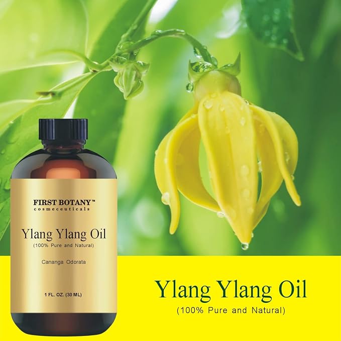 First Botany, 100% Pure Oil Ylang Ylang Oil - Premium Ylang-Ylang Essential Oil for Aromatherapy, Massage, Topical & Household Uses - 1 fl oz