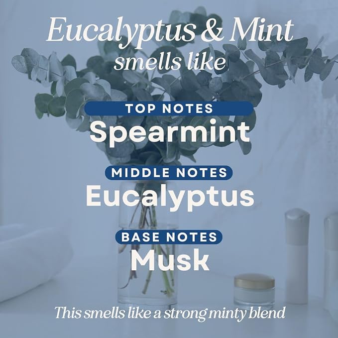 Scented Soy Wax Candle for Home, Luxury Scented Soy Jar Candle, Hand Poured in The USA, Highly Scented & Long Lasting for Home, Mom, Women, Birthday Gift (Eucalyptus & Mint)