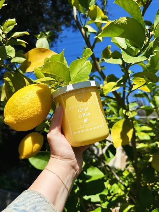 DW Home Fresh Lemon Scented Candle for Home, 9 oz, Medium Single Wick Candle Jar, Up to 33H Burn Time, Luxury Scented Candle for Relaxation, Gifting, Home Décor