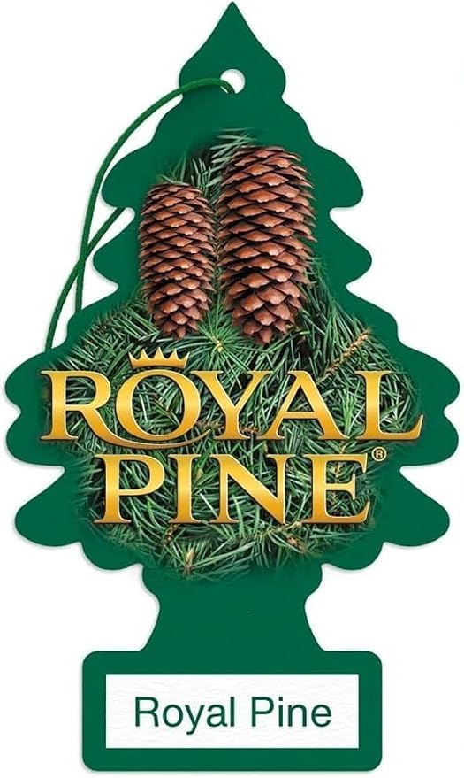 LITTLE TREES Car Air Freshener | Hanging Paper Tree for Home or Car | Royal Pine | 3 Pack